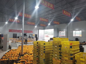 南溪區江南鎮農產品初加工廠 熱火朝天促加工，農副產品暢銷路