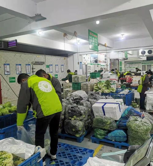 織里供銷出硬招，服務保障暖人心——初級農產品收購工作見實效